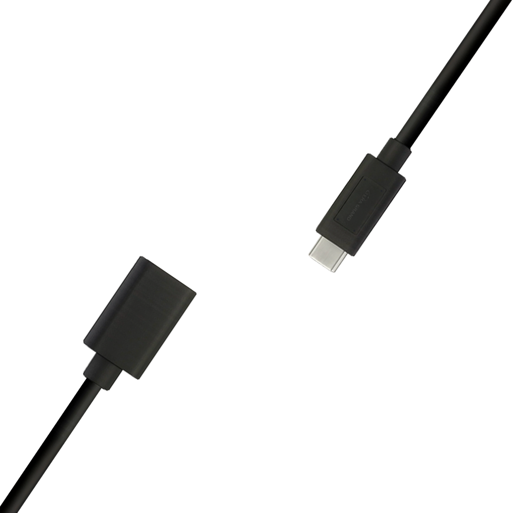 
<span>TypeCメス型ケーブル【USB31-WU78】</span>
 thumbnail 2