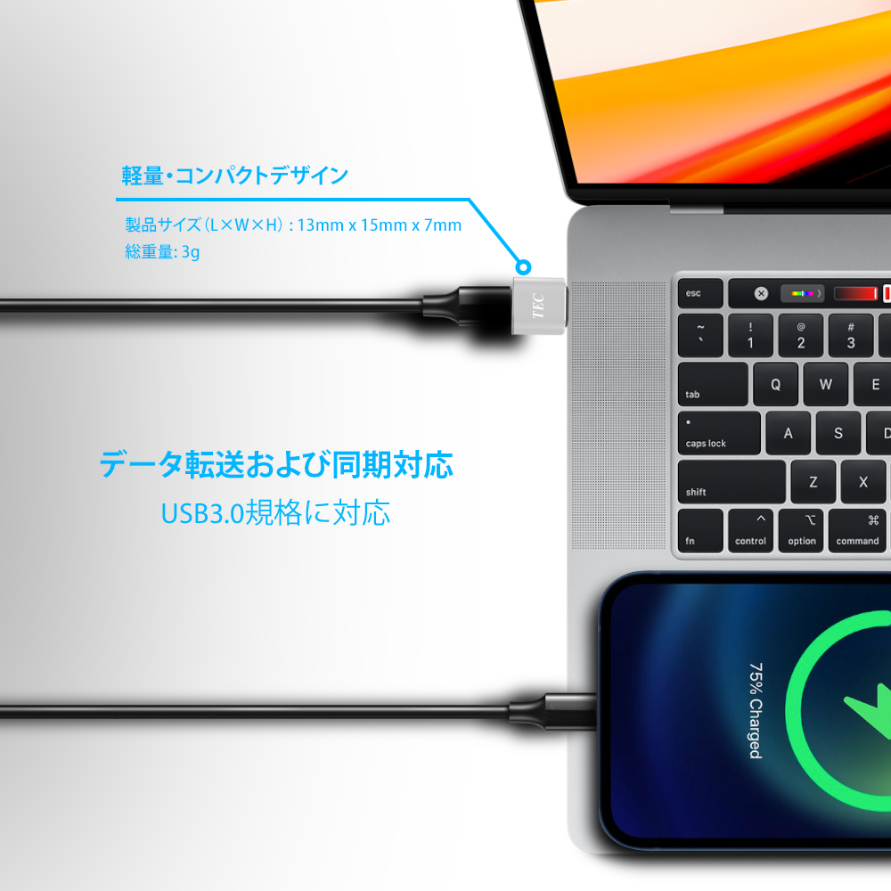 
<span>TUSB31ATC USB Type-A オス USB3.1 Type-Cメス変換アダプター</span>
 thumbnail 3