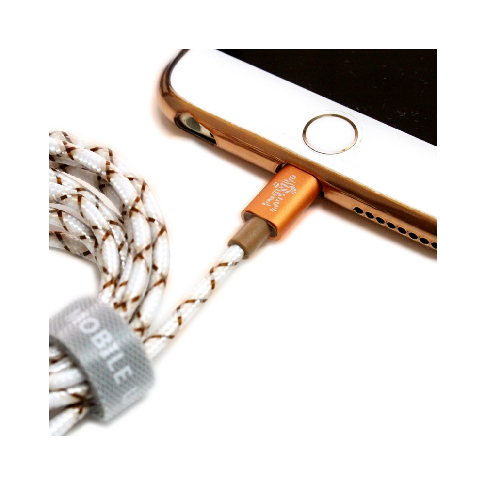 
<span>APL-MUMY-05 Lightning Cable Character Series Mummy</span>
 thumbnail 2
